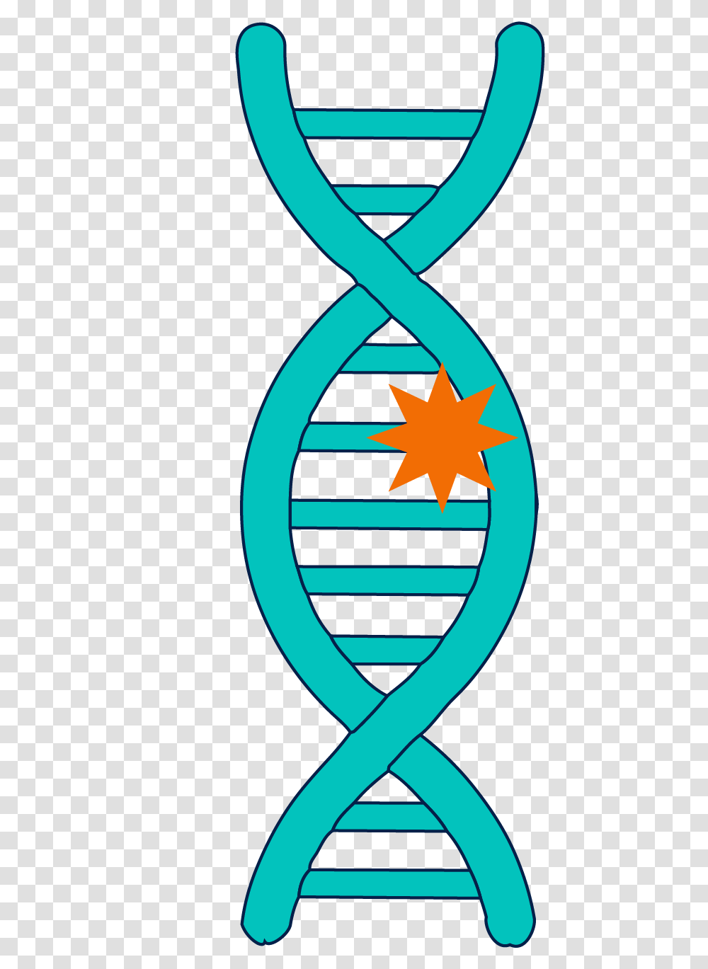 Basic Genetics Kintalk Ucsf, Star Symbol, Logo, Trademark Transparent Png