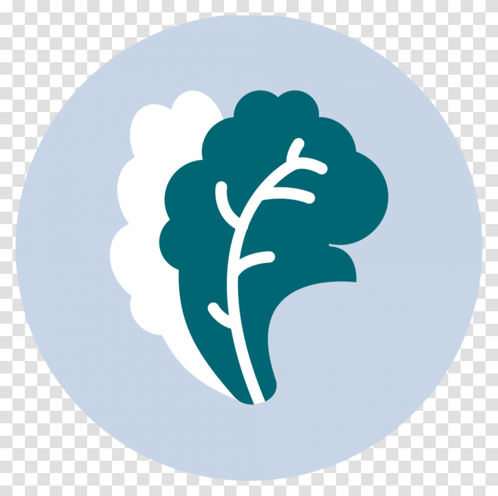 Basic Icon Copy 02 Food, Plant, Sphere, Logo Transparent Png