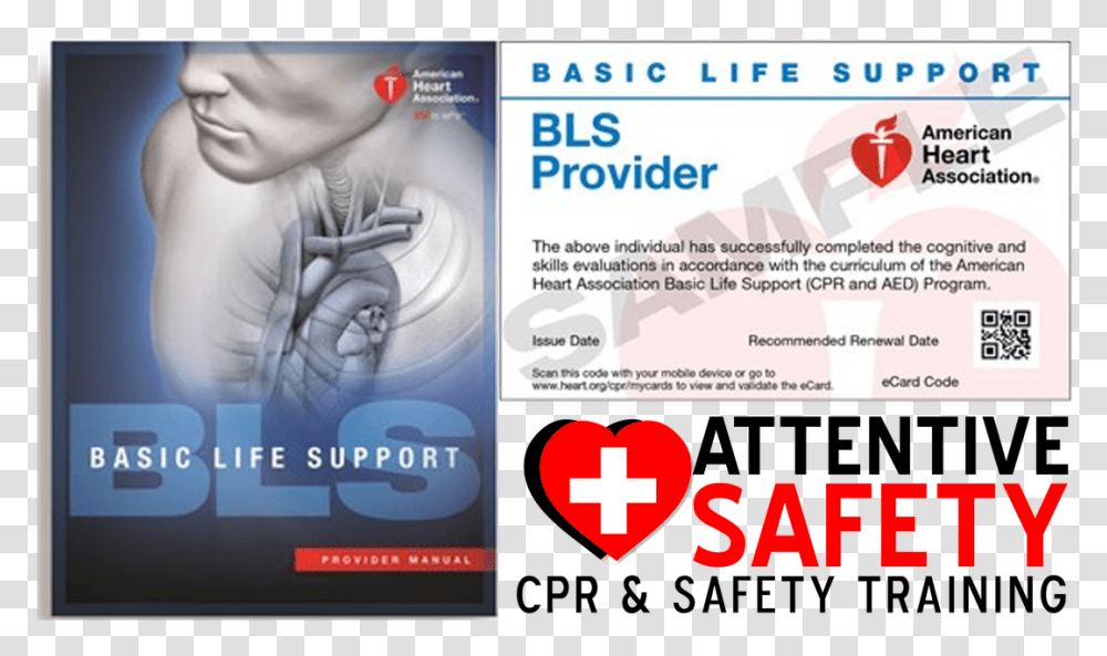 Basic Life Support Pdf American Heart Association, Flyer, Poster, Paper, Advertisement Transparent Png