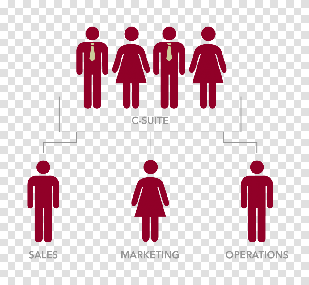 Basic Ways Organizations Are Structured Florida Tech Online, Person, Human, Crowd Transparent Png