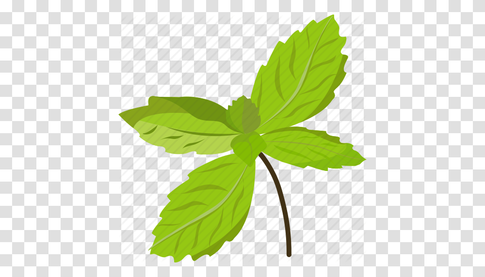 Basil Basil Leaves Basil Paste Basil Seeds Vegetables Icon Icon, Leaf, Plant, Potted Plant, Vase Transparent Png