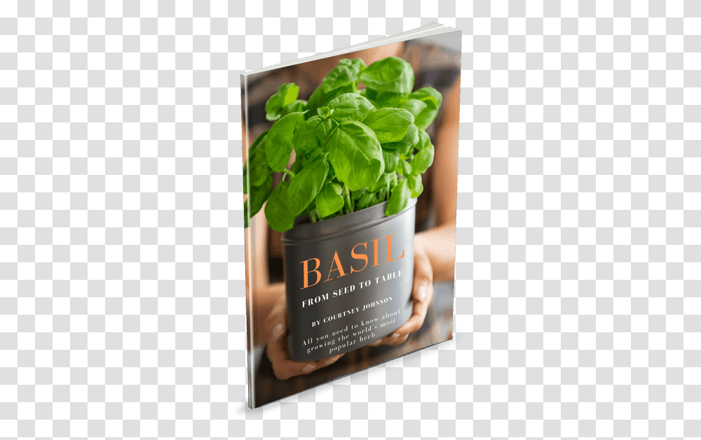 Basil From Seed To Table Spinach, Plant, Vegetable, Food, Potted Plant Transparent Png