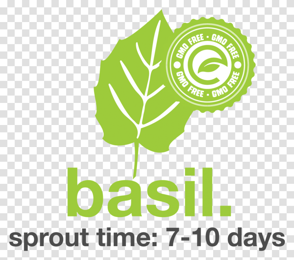 Basil, Green, Leaf, Plant, Poster Transparent Png