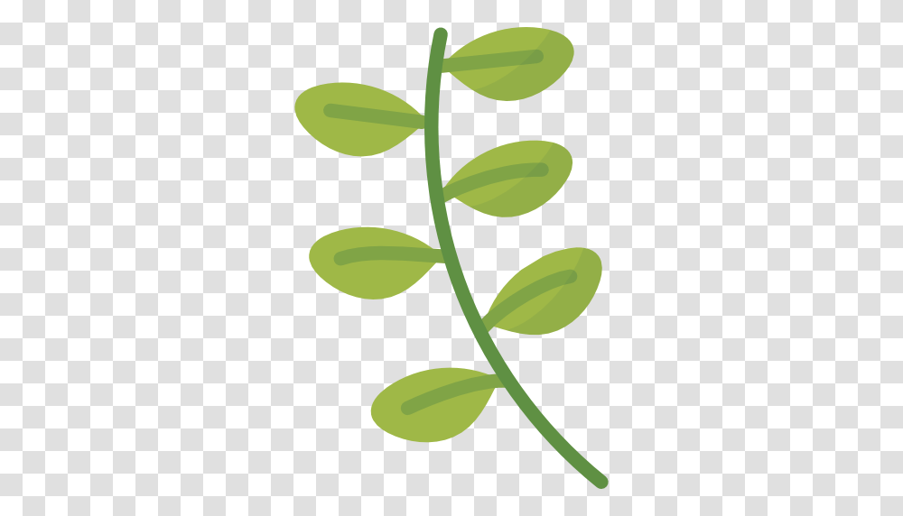 Basil, Green, Leaf, Plant, Sprout Transparent Png