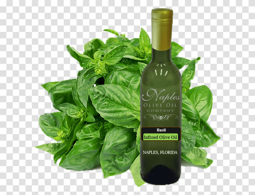 Basil Leaves In Pakistan, Plant, Spinach, Vegetable, Food Transparent Png