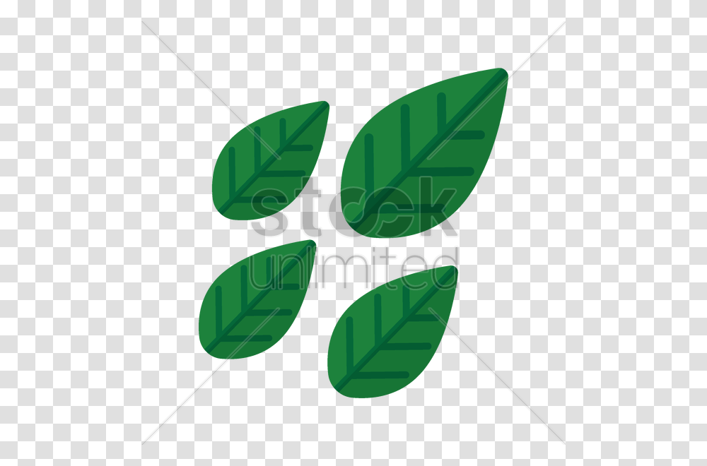 Basil Leaves Vector Image, Leaf, Plant, Dynamite, Bomb Transparent Png