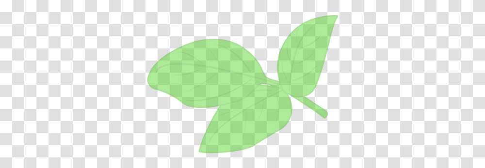 Basil - The Lills Illustration, Leaf, Plant, Green, Tennis Ball Transparent Png