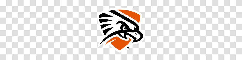 Basin Falcons, Apparel, Poster, Advertisement Transparent Png