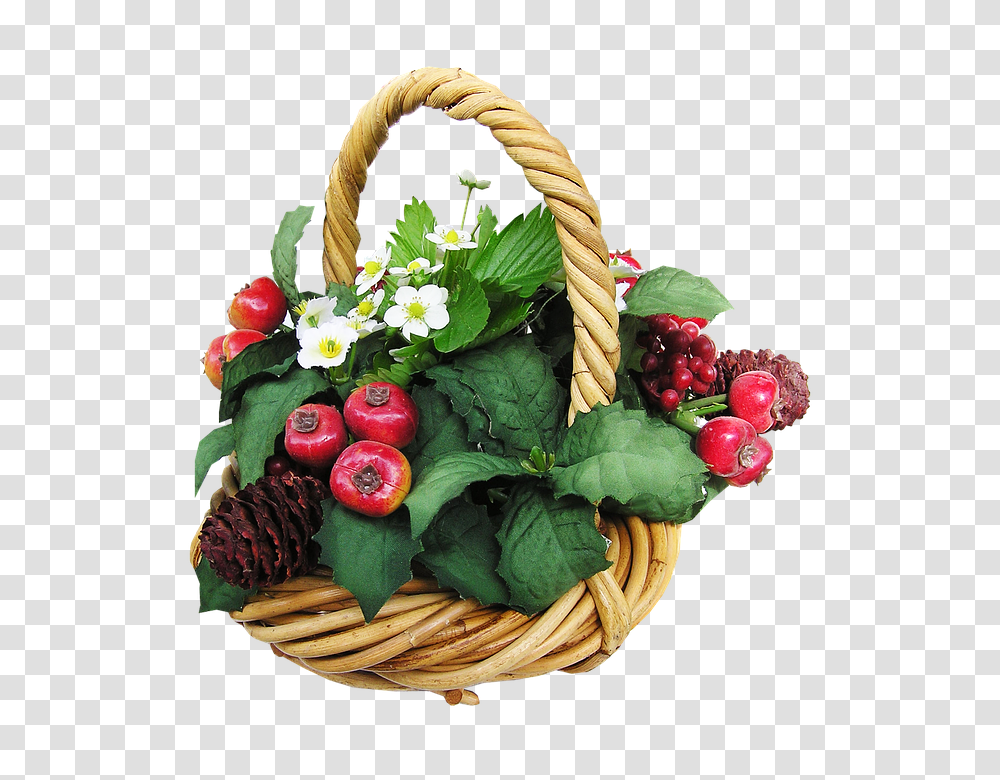 Basket 960, Fruit, Plant, Food, Flower Transparent Png