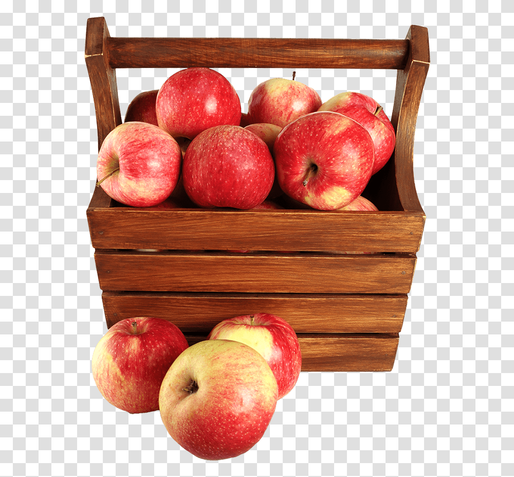 Basket Of Apples, Fruit, Plant, Food, Bowl Transparent Png