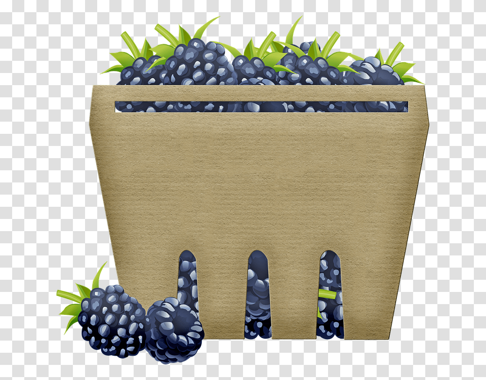 Basket Of Fruit Blackberries Berry Blueberry, Plant, Birthday Cake, Dessert, Food Transparent Png