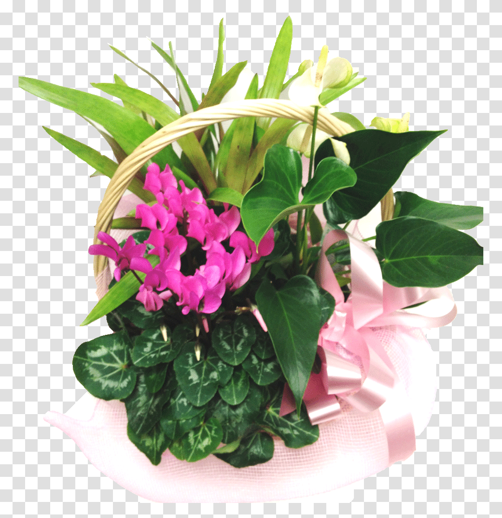 Basket Of Plants Bouquet, Flower, Blossom, Flower Bouquet, Flower Arrangement Transparent Png