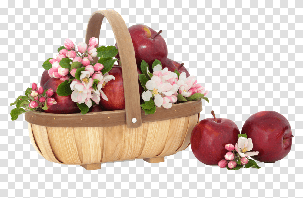 Basket, Plant, Shopping Basket, Flower Transparent Png