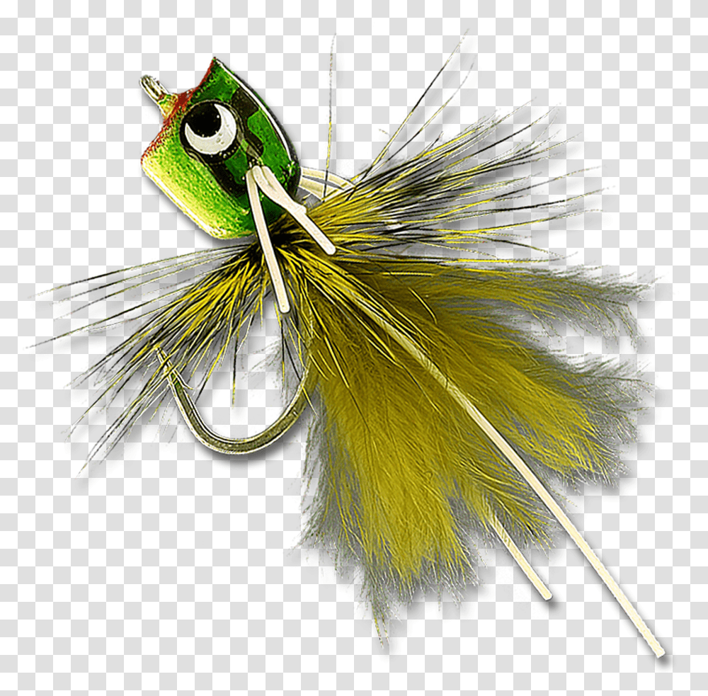 Bass Amp Bluegill Mini Poppers Insect, Animal, Bird, Invertebrate, Fishing Lure Transparent Png