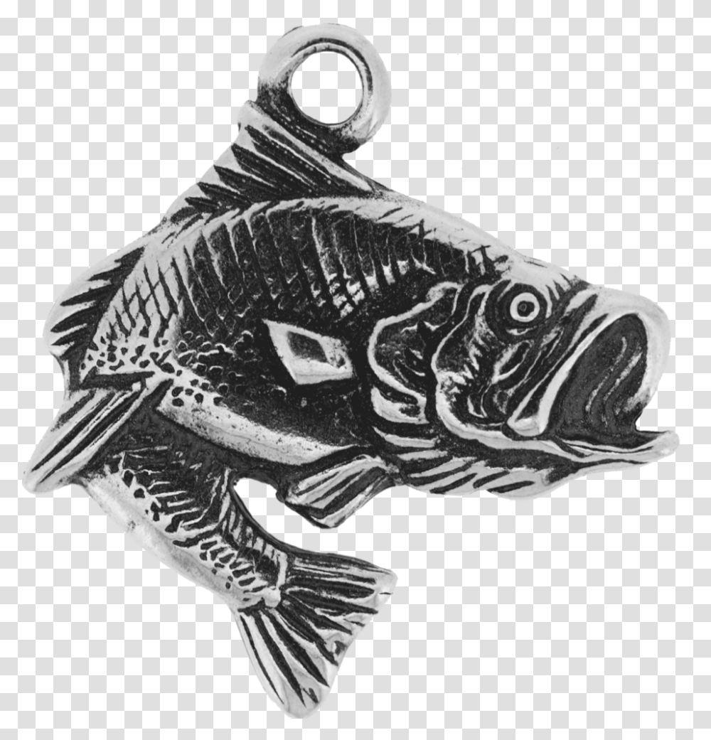 Bass, Animal, Fish, Person, Human Transparent Png