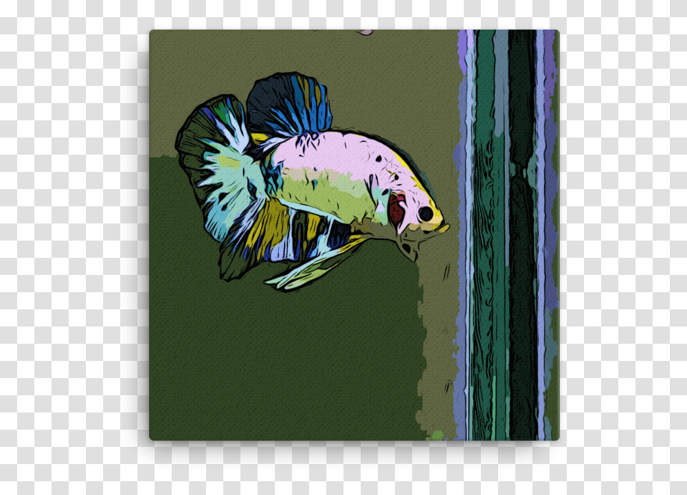 Bass, Bird, Animal, Fish, Sea Life Transparent Png