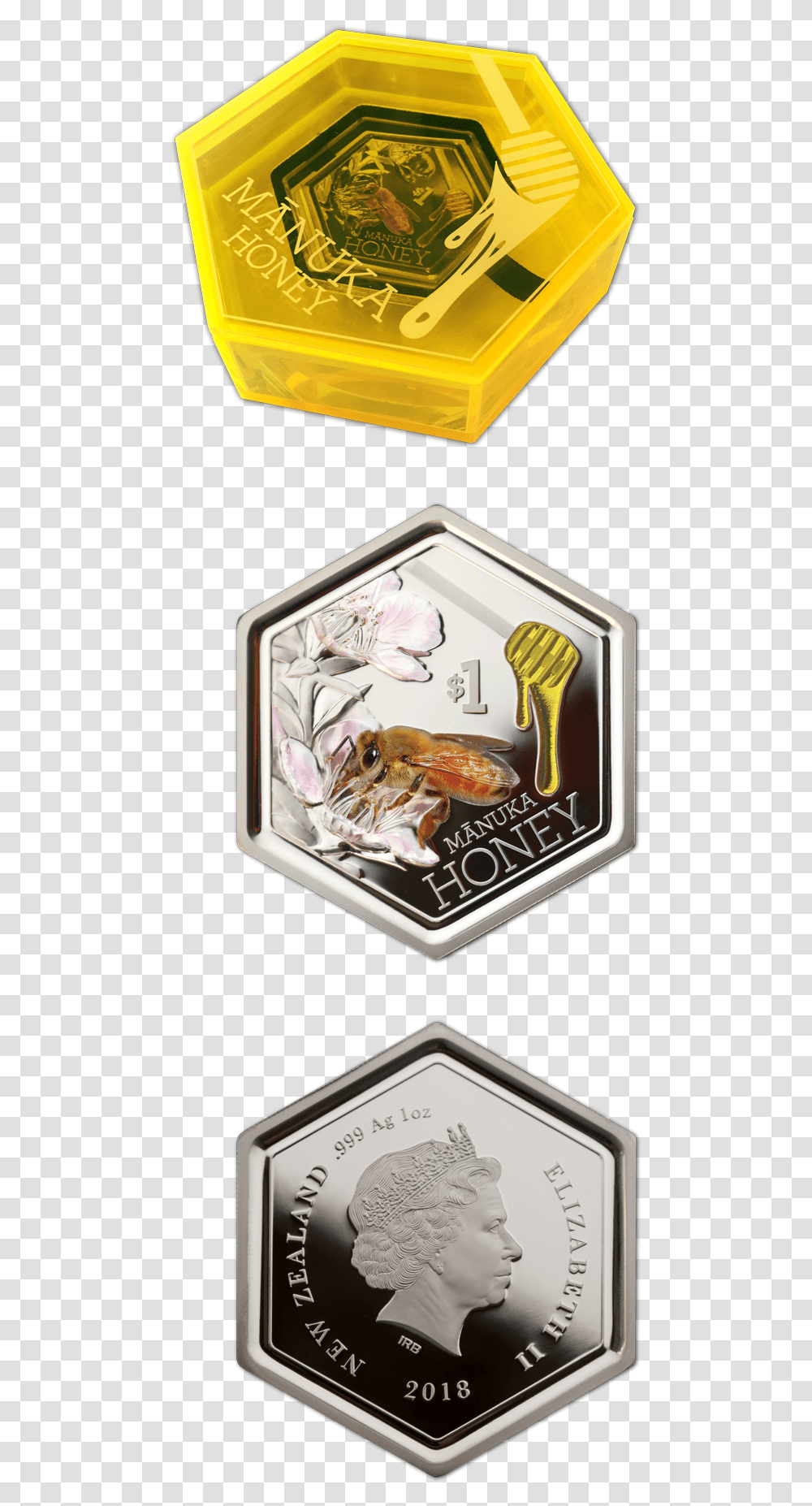 Bass, Box, Person, Lobster, Animal Transparent Png