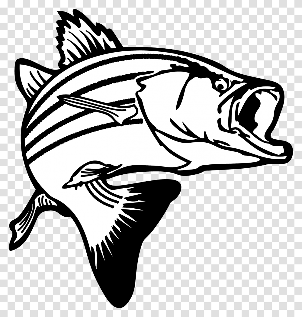 Bass Cliparts, Fish, Animal, Aquatic, Water Transparent Png