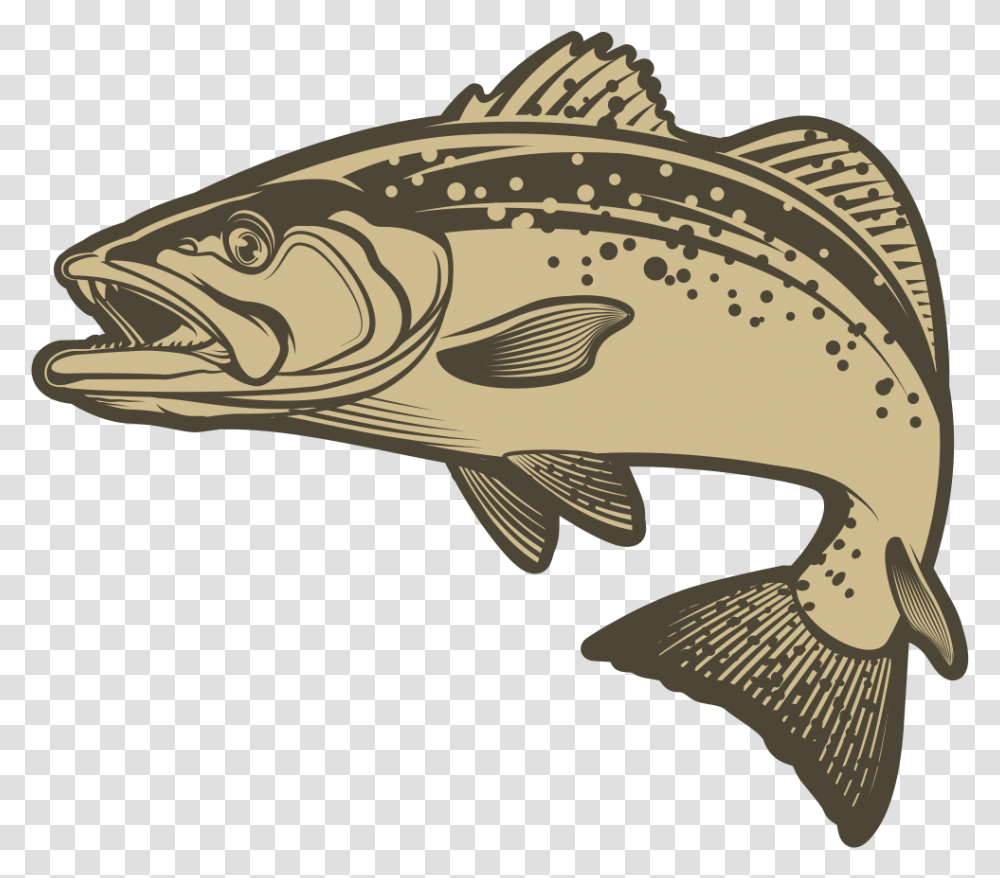 Bass, Cod, Fish, Animal, Sea Life Transparent Png