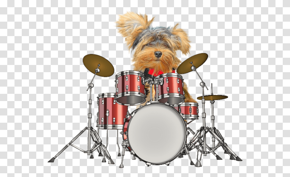 Bass Drum Clipart Drums, Musician, Musical Instrument, Percussion, Drummer Transparent Png