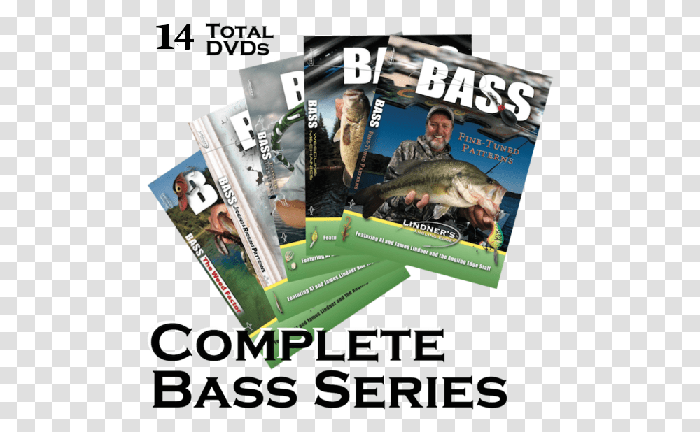 Bass Dvd Bundle Flyer, Person, Human, Poster, Advertisement Transparent Png