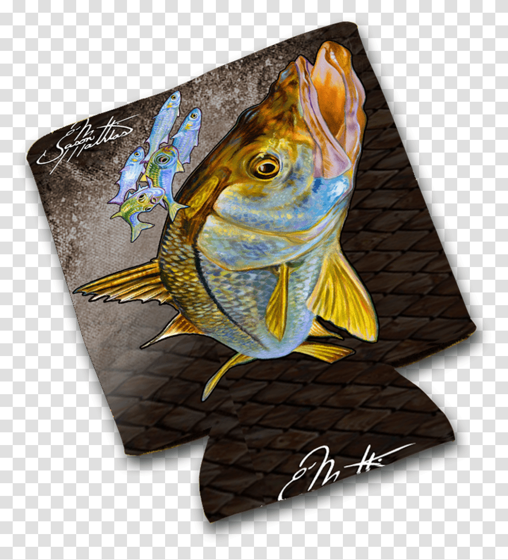 Bass, Fish, Animal, Angelfish, Sea Life Transparent Png