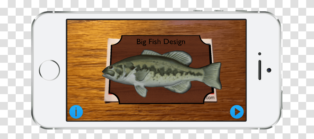 Bass, Fish, Animal, Wood, Coho Transparent Png