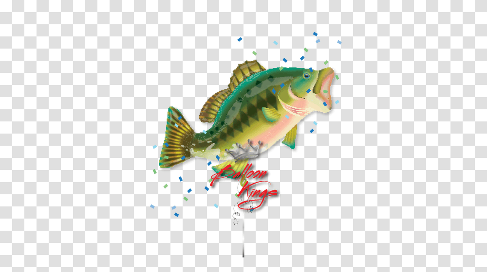 Bass Fish, Aquatic, Water, Animal, Carp Transparent Png