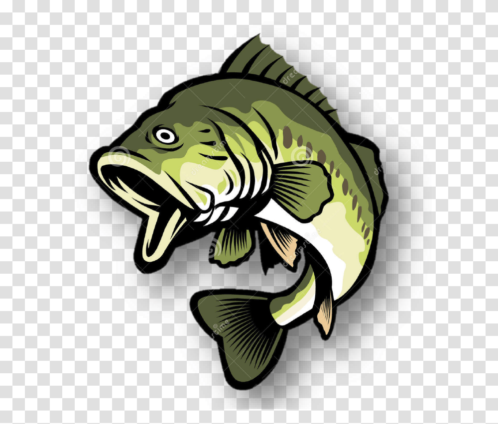 Bass Fish Clipart, Animal, Cod, Mammal, Sea Life Transparent Png