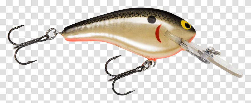 Bass Fish Clipart Best, Fishing Lure, Bait Transparent Png