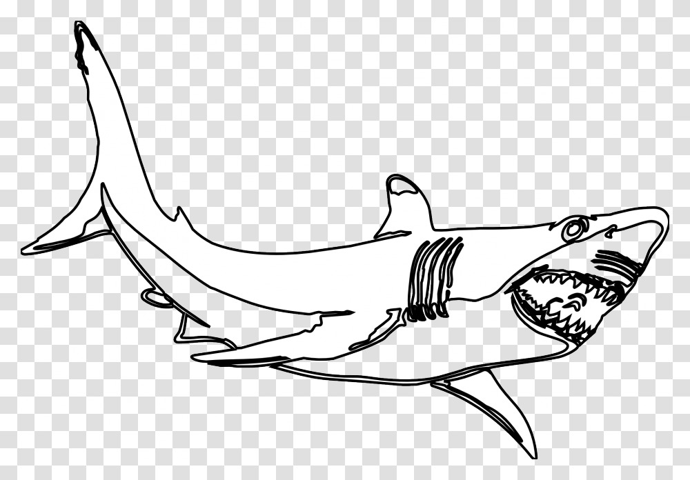 Bass Fish Clipart, Shark, Sea Life, Animal, Great White Shark Transparent Png