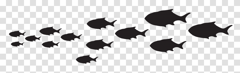 Bass Fish Clipart Summer Clipart, Gray, World Of Warcraft Transparent Png