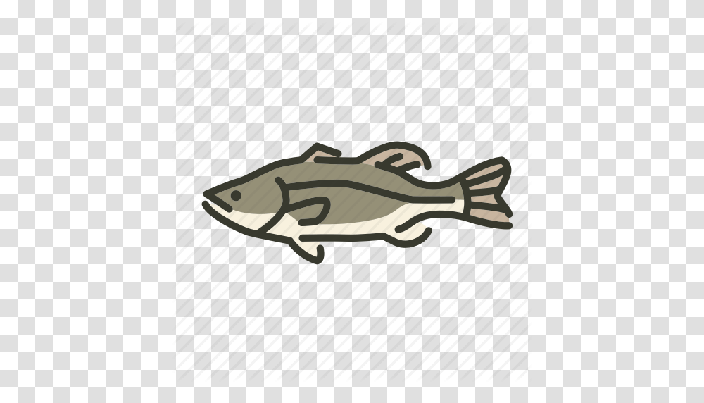 Bass Fish Freshwater Gamefish Largemouth Bass North America, Animal, Sea Life, Cod, Coho Transparent Png