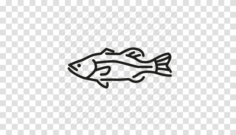 Bass Fish Freshwater Gamefish Largemouth Bass North America, Vehicle, Transportation, Spaceship, Aircraft Transparent Png