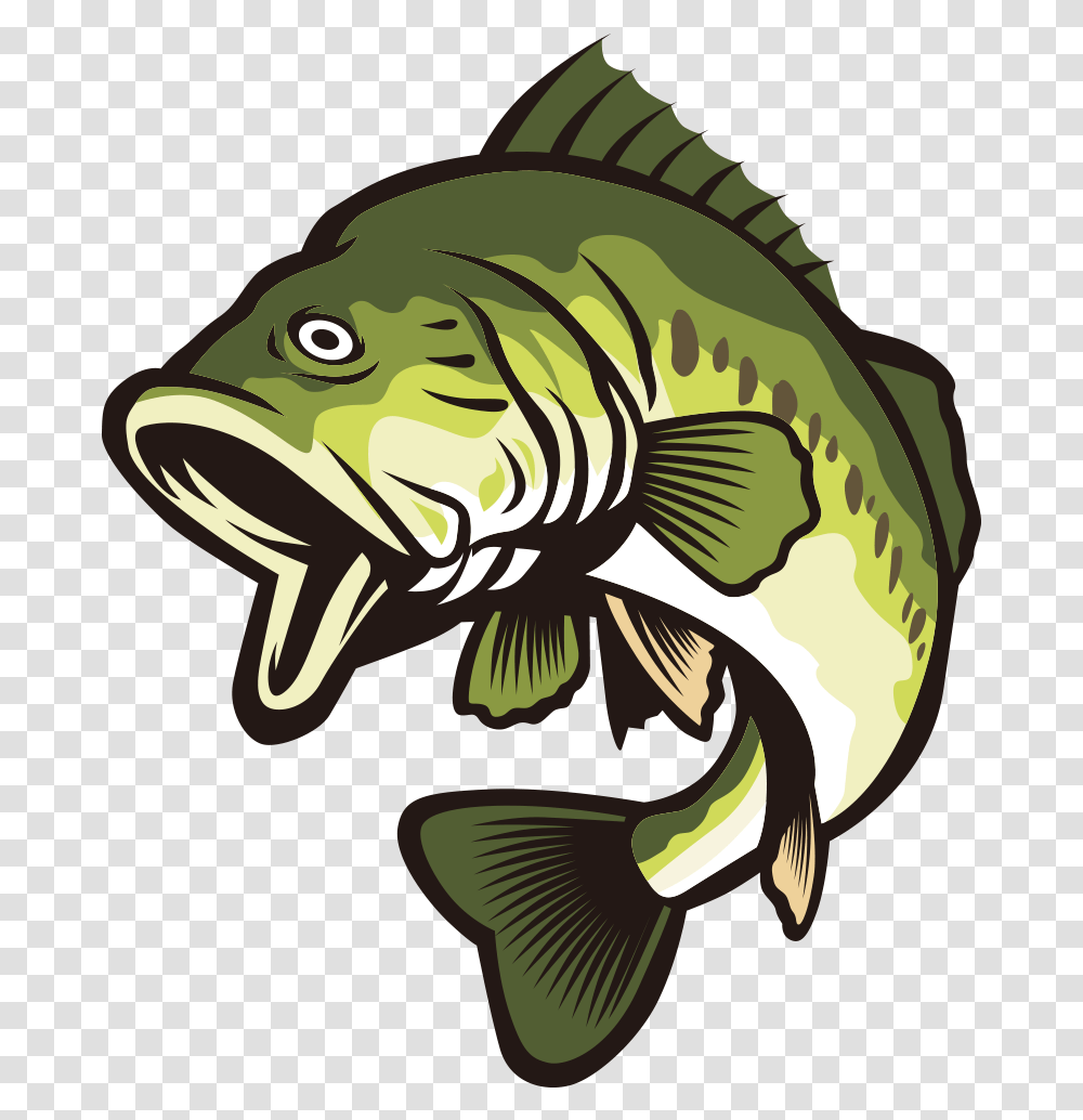Bass Fish Vector Clipart Banner Free Library Largemouth Bass Clipart, Animal, Perch Transparent Png