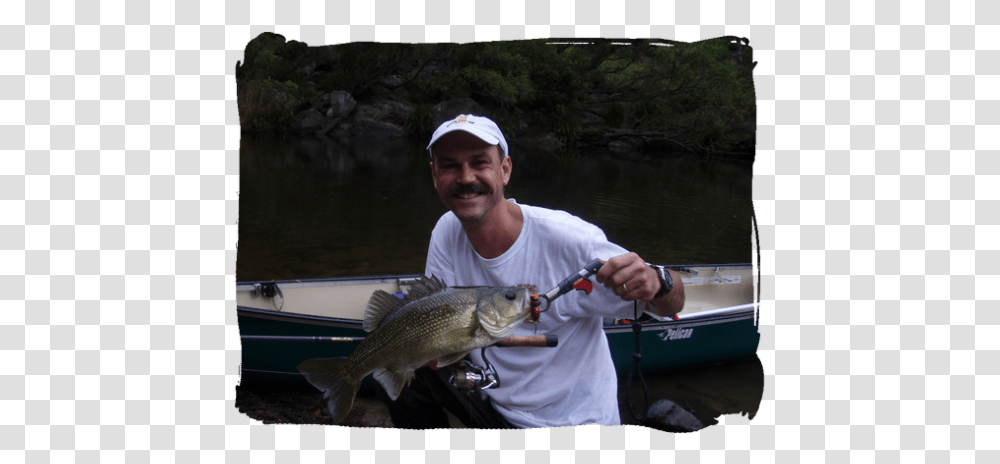 Bass Fishing Bass Lodge Pull Fish Out Of Water, Animal, Person, Human, Perch Transparent Png