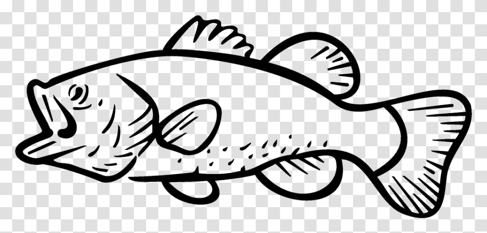 Bass Fishing Largemouth Bass Clip Art Largemouth Bass Clip Art, Animal, Cod, Lawn Mower, Tool Transparent Png