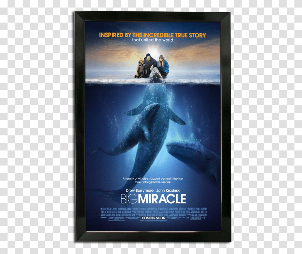 Bass Loc Poster Frame Big Miracle Movie Poster, Person, Human, Sea Life, Animal Transparent Png