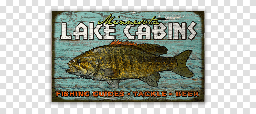 Bass, Perch, Fish, Animal, Poster Transparent Png