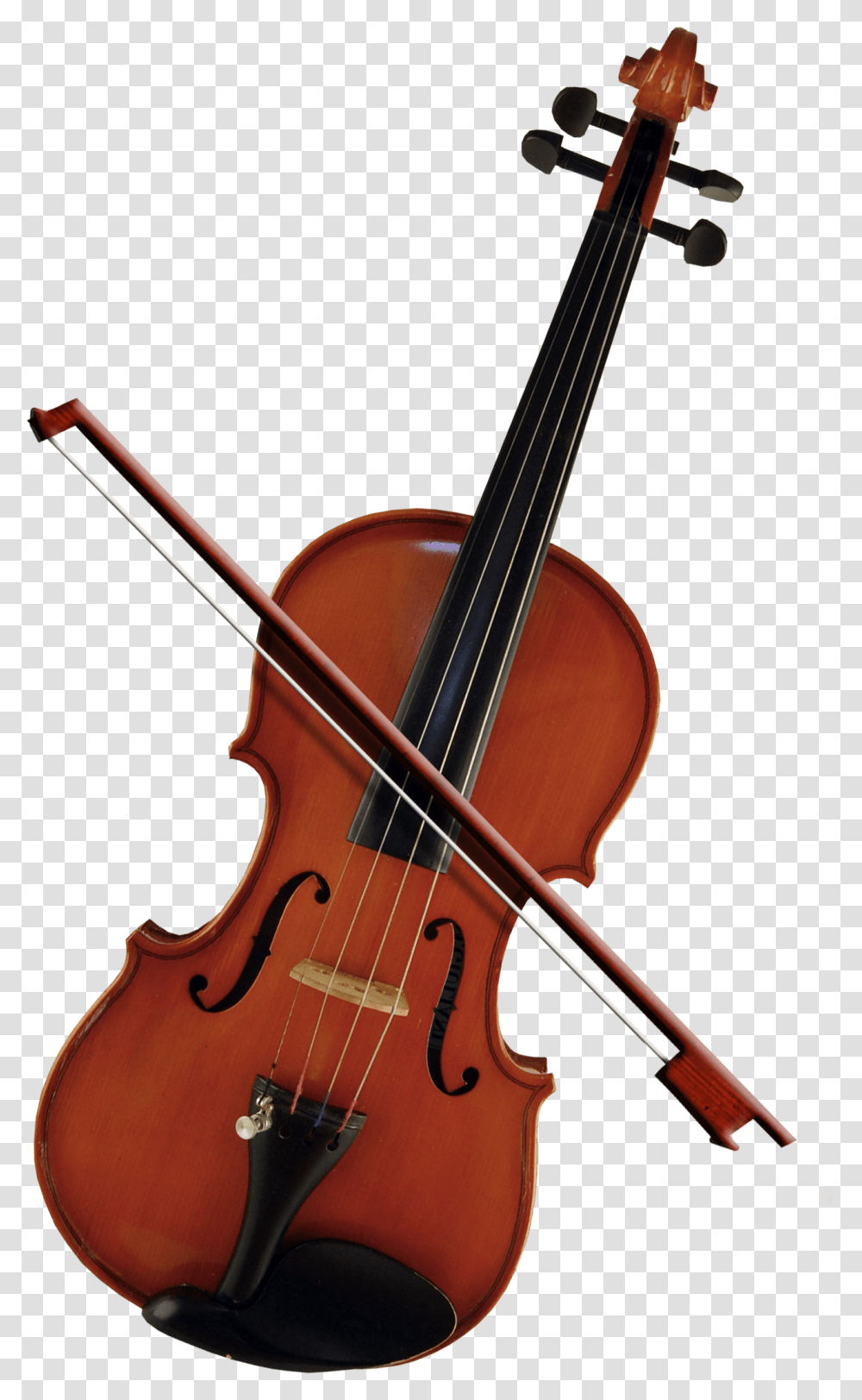 Bass Violin Cello Violone Viola Viola, Leisure Activities, Musical Instrument, Fiddle Transparent Png