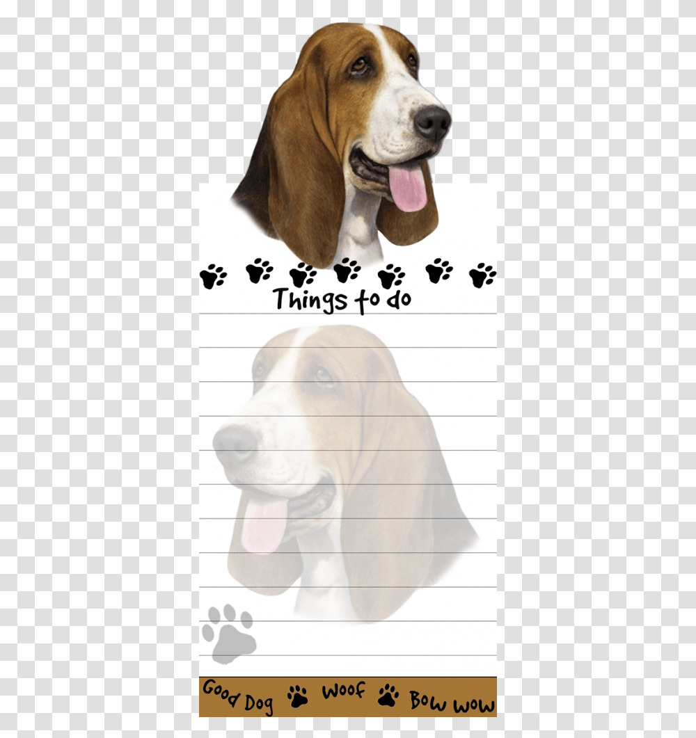 Basset Hound Dog Notepads Stationery, Pet, Canine, Animal, Mammal Transparent Png