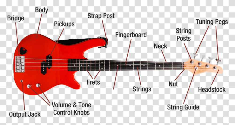 Bassguitar Diagram Image Diagram Of A Bass Guitar, Leisure Activities, Musical Instrument, Electric Guitar Transparent Png