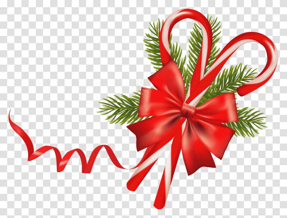 Bastones De Navidad Feliz Navidad Y Nuevo Portada Facebook, Plant, Leaf, Tree, Petal Transparent Png