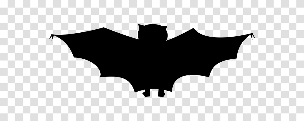 Bat Animals, Gray, World Of Warcraft Transparent Png