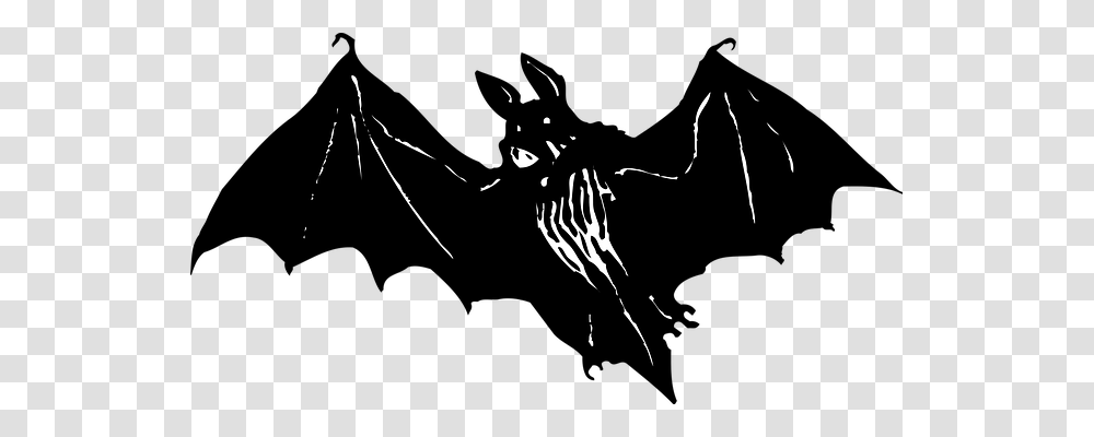 Bat Animals, Stencil, Pirate, Silhouette Transparent Png