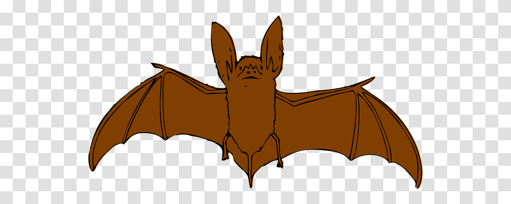 Bat Animals, Wildlife, Mammal, Tent Transparent Png