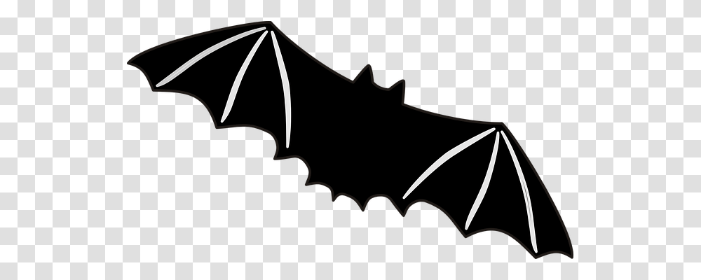 Bat Animals, Wildlife, Mammal, Bow Transparent Png