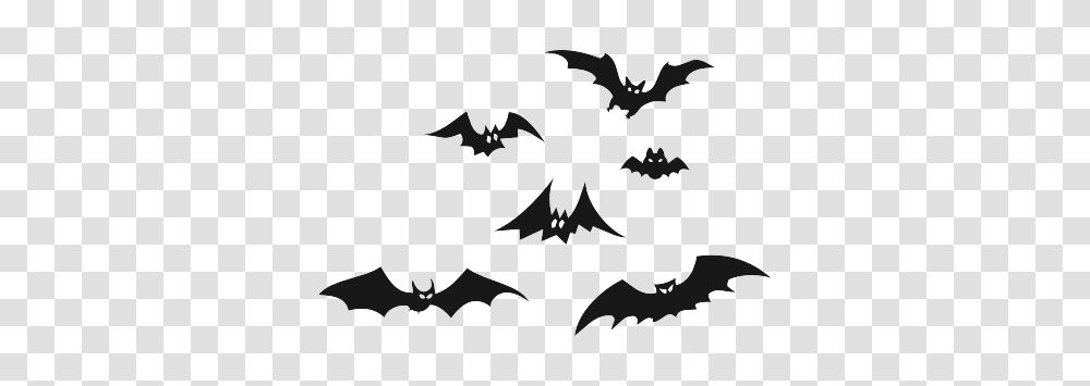 Bat, Animals, Bird, Batman Logo Transparent Png