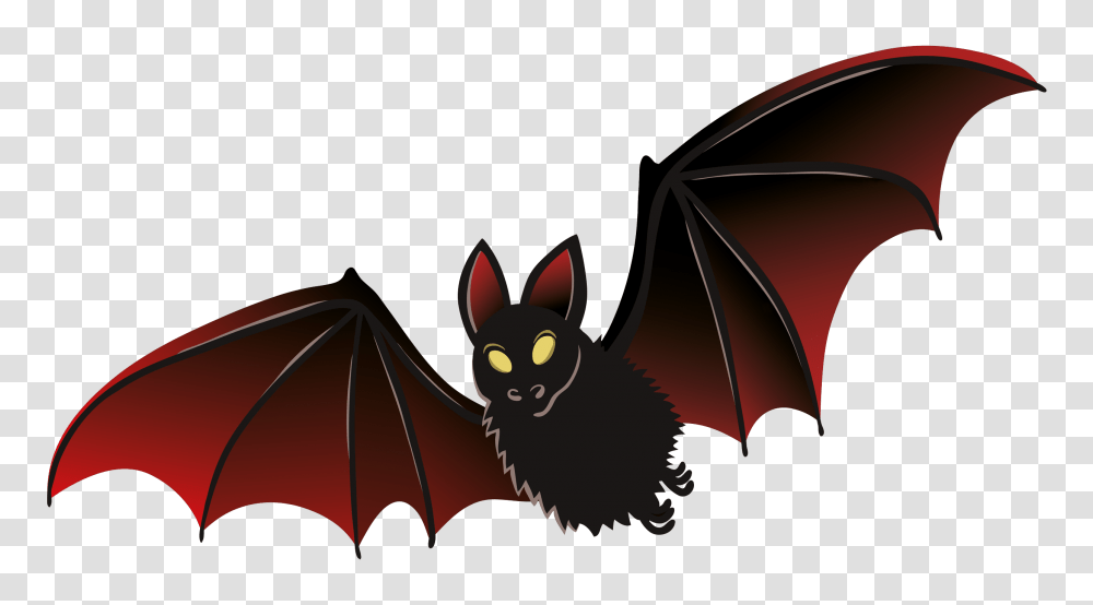 Bat, Animals, Mammal, Cat, Pet Transparent Png