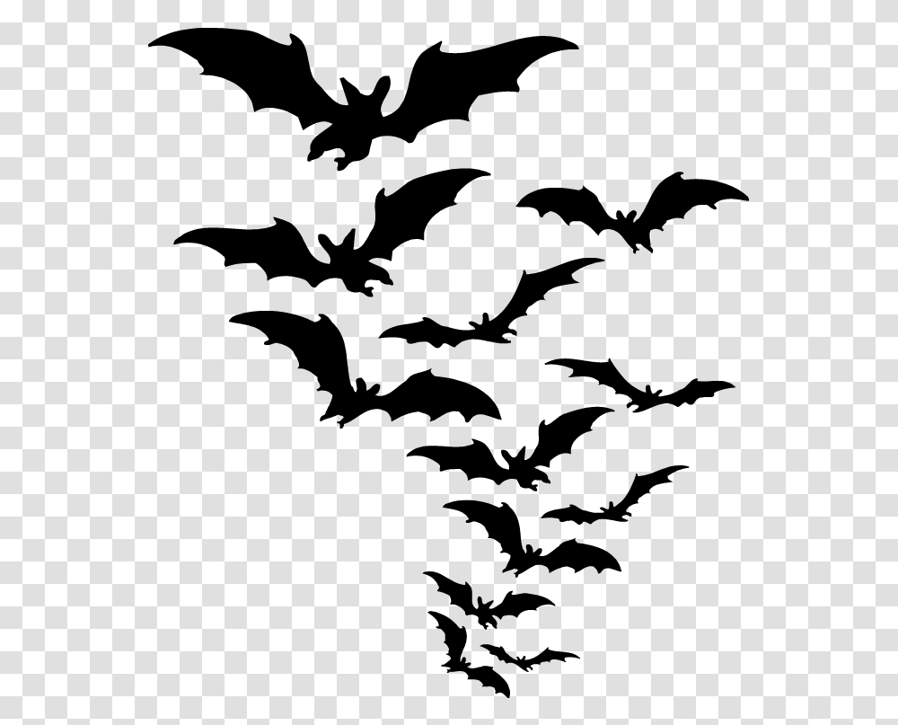 Bat, Animals, Alphabet Transparent Png